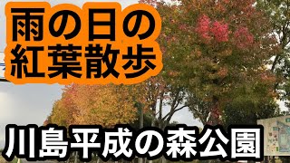 【紅葉】雨の日の紅葉散歩 ～川島平成の森公園～