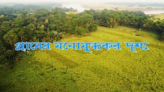 গ্রামের মনোমুগ্ধকর দৃশ্য। গ্রামের প্রকৃতি। Gramer Monomugdhokor Drissho। Beautiful Village