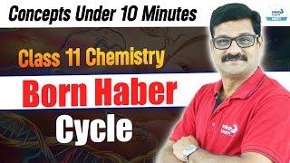 Understand Born-Haber Cycle Quickly | NEET 2025 | Class 11 Chemistry | Revise Fast with Suresh Sir