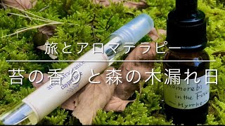 【旅とアロマテラピー】紅葉の岐阜県高山の宇津江四十八滝を訪れてイメージして創る香り/苔の香り/木漏れ日/滝巡り