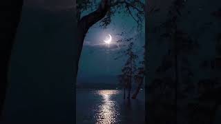 Beautiful Moon || Good Night Status|| Nature Whatsapp Status Video|| #moonlight#viralvideo#viral