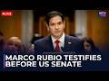 LIVE: Marco Rubio Testifies Before US Senate | Rubio Gets Questioned On Iran War | Donald Trump LIVE