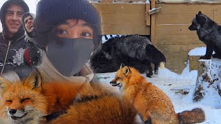 EP 3 - The Fox Village in Japan (Kitsune mura)