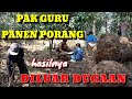 PANEN PORANG DARI BIBIT UMBI 1 MUSIM//bersama PAK GURU MURYONO