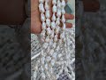 big baroque pearl wholesale freshwater baroque pearl necklace wholesale from baoyue pearl pearl