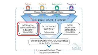 Gene Disease Validity Classifications Tutorial