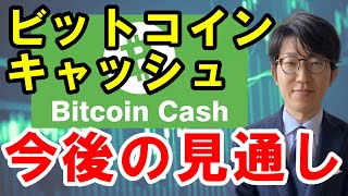 【2021年】ビットコインキャッシュ（BCH）の今後の見通し・上がる要因を解説