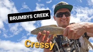 Brumbys Creek Cressy. FLYF ADVENTURE