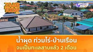 น้ำผุด ท่วมไร่ บ้านเรือนจมเป็นทะเลสาบแล้ว 2 เดือน (14 พ.ย. 67) | แซ่บทูเดย์