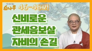 신비로운 관세음보살 자비의 손길 [광우스님의 소나무 시즌3 몰아보기]