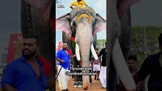 2024 - ൽ കേരളത്തിലെ Top 10 ആനകൾ🐘😳|Top 10 Elephants in Kerala|RS Creations❤️