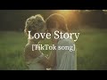 [和訳] Taylor Swift - Love Story (Lyrics) “Disco Lines Remix [TikTok]