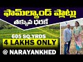 Farmland Plots For Sale in Narayankhed | Red Sandalwood Malabar | Plots Kaka