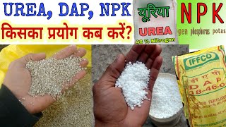 UREA, NPK तथा DAP का प्रयोग कब करें? | When to use UREA, NPK and DAP? | How to use UREA, NPK ,DAP