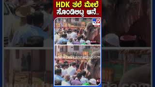 HDKತಲೆ ಮೇಲೆ ಸೊಂಡಿಲಿಟ್ಟ ಆನೆ.. | #Tv9kannadashorts #HDKumaraswamy