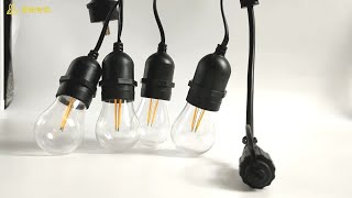 jingle jollys festoon lights replacement bulbs: 20 secrets in 2022