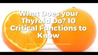 What Does Your Thyroid Do? 10 Important Functions You Should Know