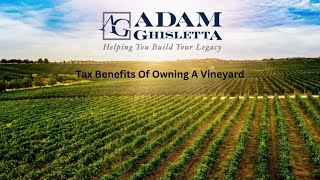 Tax Benefits Of Owning A Vineyard