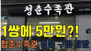 [한글날특집]수족관 탐방 모음집. zip(청춘수족관,드림아쿠아,피쉬팜,JD아쿠아,일산수족관,해이리물방)