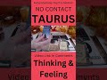 TAURUS♉💔🤯 THEIR THOUGHTS & FEELINGS 💔🤯NO CONTACT  Link https://youtu.be/JFULOkET4qk #Shortslovetarot