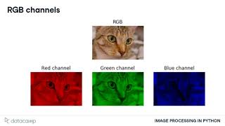 Make images come alive with scikit-image