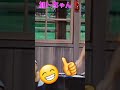 加トちゃんの英語😁🤣👌ウェーイ🎵 ドリフ大爆笑 shortsyoutube shortvideo shorts short