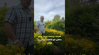 هنرمند ارزشمند سینما ویلای ساحلی شو‌گذاشت فروش اونم زیر قیمت #vila #ویلا_فروشی