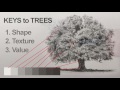 how to draw a tree realistic