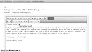 Support: Edit the HTML Source Code