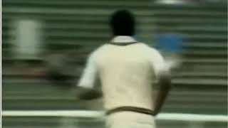 Colin croft hitting umpire after 11 no balls were given