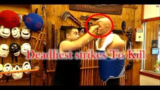 Kung Fu Deadly Techniques FATAL STRIKES