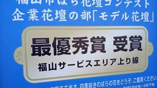 素晴らしいバラ園　福山サービスエリア上り