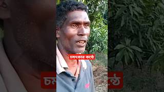 মাথাই খারাপ কি গান শুনালো সরেশ দা। সেরা কন্ঠে খালি গলায় অসাধারণ একটি গান গেয়ে শোনান সরেশ দা #song