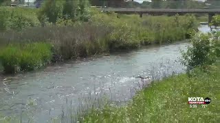 Rapid Creek might not be the safest to swim in