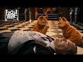Garfield: A Tail of Two Kitties | "The Animals Fight Back" Clip | Fox Family Entertainment