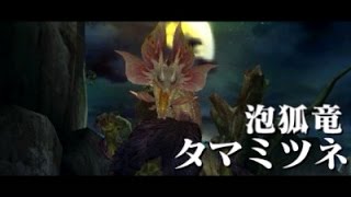 【MHX複数実況】友と巡るモンハンクロス集会所の旅part45-2【上位タマミツネ】