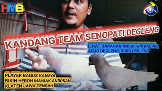 #HMBKANDANG TEAM SENOPATI DEGLENG KLATEN MERPATI | BALAP SPRINT TRAH JUARA NASIONAL RING PPMBSI 2021