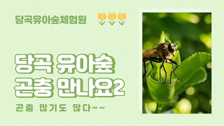 당곡유아숲체험원/ 당곡유아숲 9월 곤충 이야