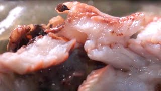 舌尖上的美味——跳跳鱼《味道》| 美食中国 Tasty China