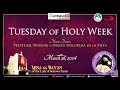 Our Lady of Sorrows Parish | Tuesday of Holy Week | March 26, 2024, 6AM