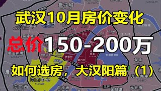 武汉10月房价变化，150-200万选哪里-大汉阳篇（1）