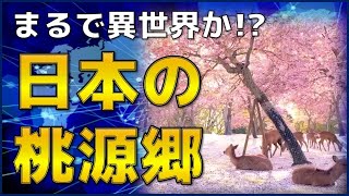 【海外の反応】海外「日本は魔法にかけられてる」 自粛中の日本で撮影された映像が異世界のようだと話題に【グレイトジャパン】