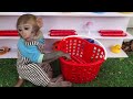 monkey baby bonbo goes catch cute chickens colorful betta fish turtle cute animals islands