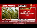 sugarcane farmers in tension शेतातील उभ्या उसाची बळीराजाला चिंता लोडशेडिंगमुळे ऊस वाळू लागला