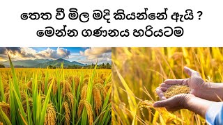 රු  125 ට තෙත මිල රු 100 ද මෙන්න තෙත බරට වී මිල දෙන අයුරු | Calculation of wet price of Paddy