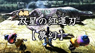 【MHXX/MHGU】双星の紅蓮刃【夢幻】　金冠オオナズチ