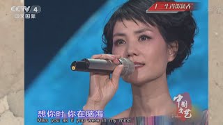 十二生肖贺新春 —— 虎年春晚经典回顾   【中国文艺  20160126】720P