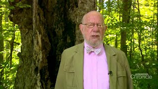 Fritz Wetherbee: A sign from Hell in Derry