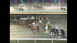 ばんえい競馬（中年の星・ゴールデンバージ）2010年7月19日＆8月21日