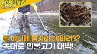 족대질 한겨울 물고기 잡기 족대낚시